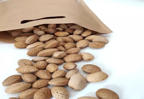 تصویر 4 از قیمت بادام سنگی عمده + خرید باور نکردنی